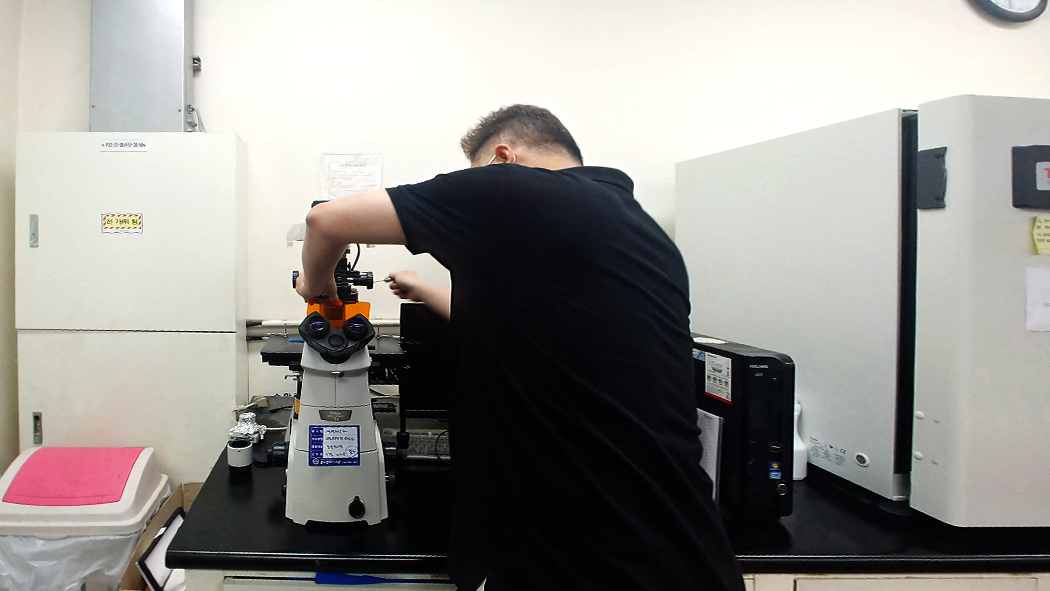 밸리데이션 갤러리 이미지