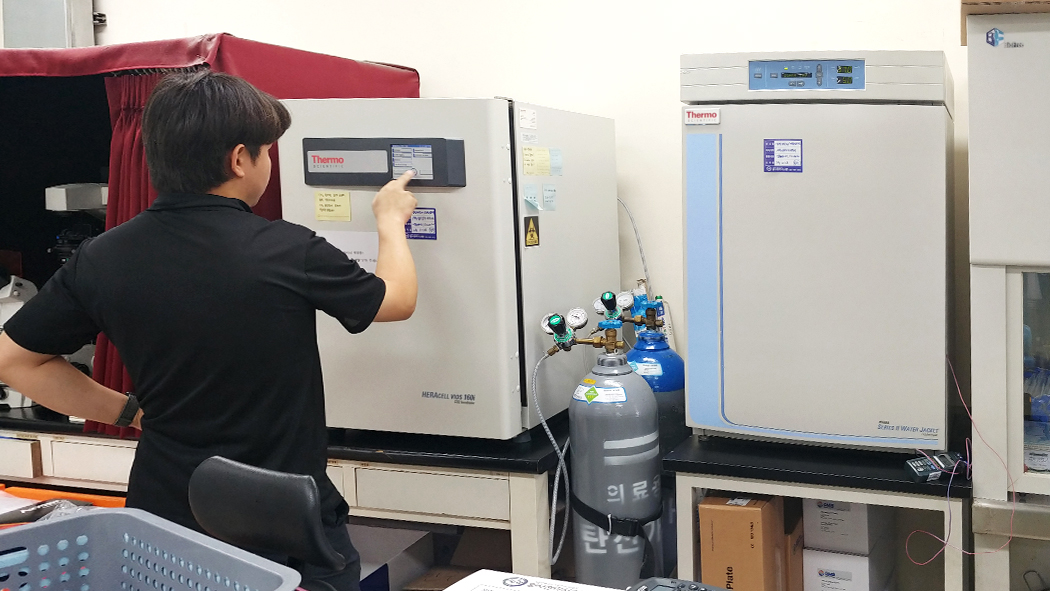 밸리데이션 갤러리 이미지